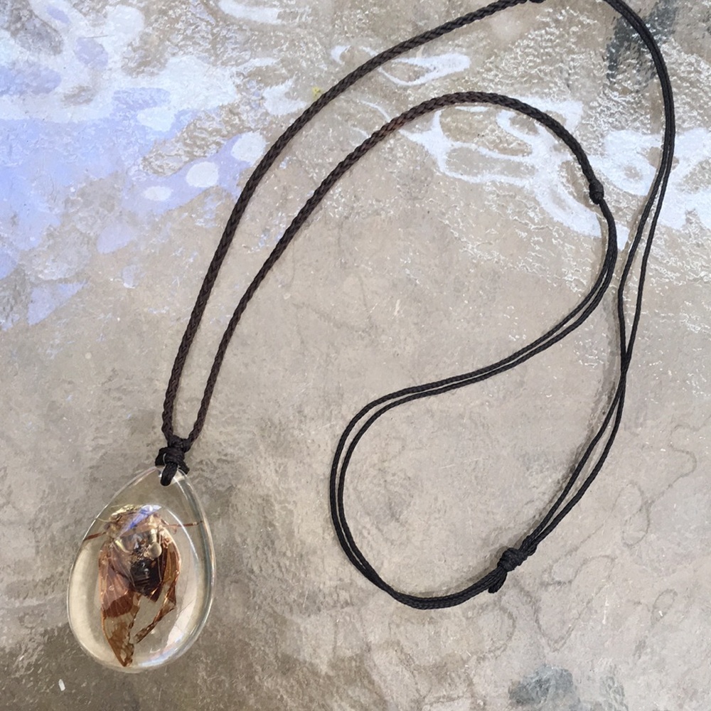 🐝 Unique Bee in Resin Pendant Necklace (à la Jurassic Park!)